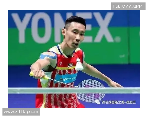 南京羽毛球队防守革新之路：战术创新与团队协作的完美结合