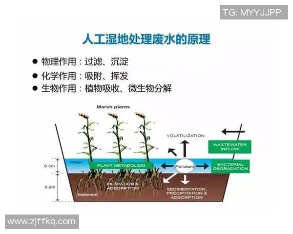 科学羽毛球灵活性训练方法提升运动表现与竞技水平的全面指南 科学羽毛球灵活性训练方法提升运动表现与竞技水平的全面指南